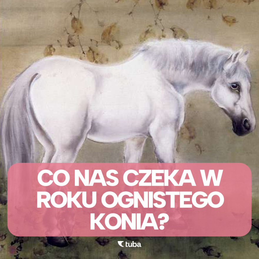 Rok Ognistego Konia - koreański horoskop na 2026 episode artwork